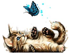 Рисуване по номера "Коте с пеперуда" 40х50см с подрамка W6014