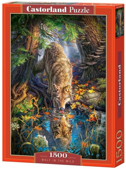 Пъзел Castorland 1500 части -  Вълк в дивото