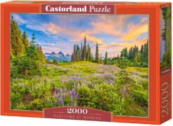 Пъзел Castorland от 2000 части - Цветовете на утрото