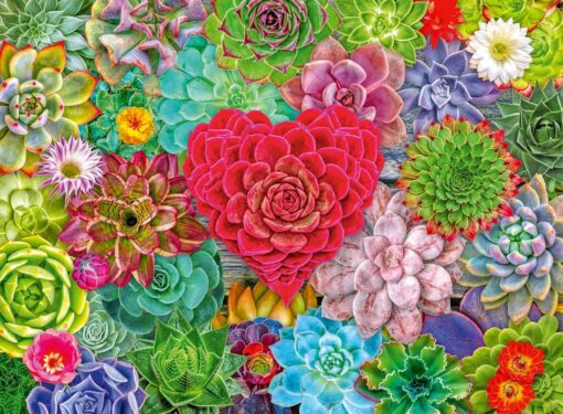 Пъзел Ravensburger от 500 части - Сукулентна любов - Image 2