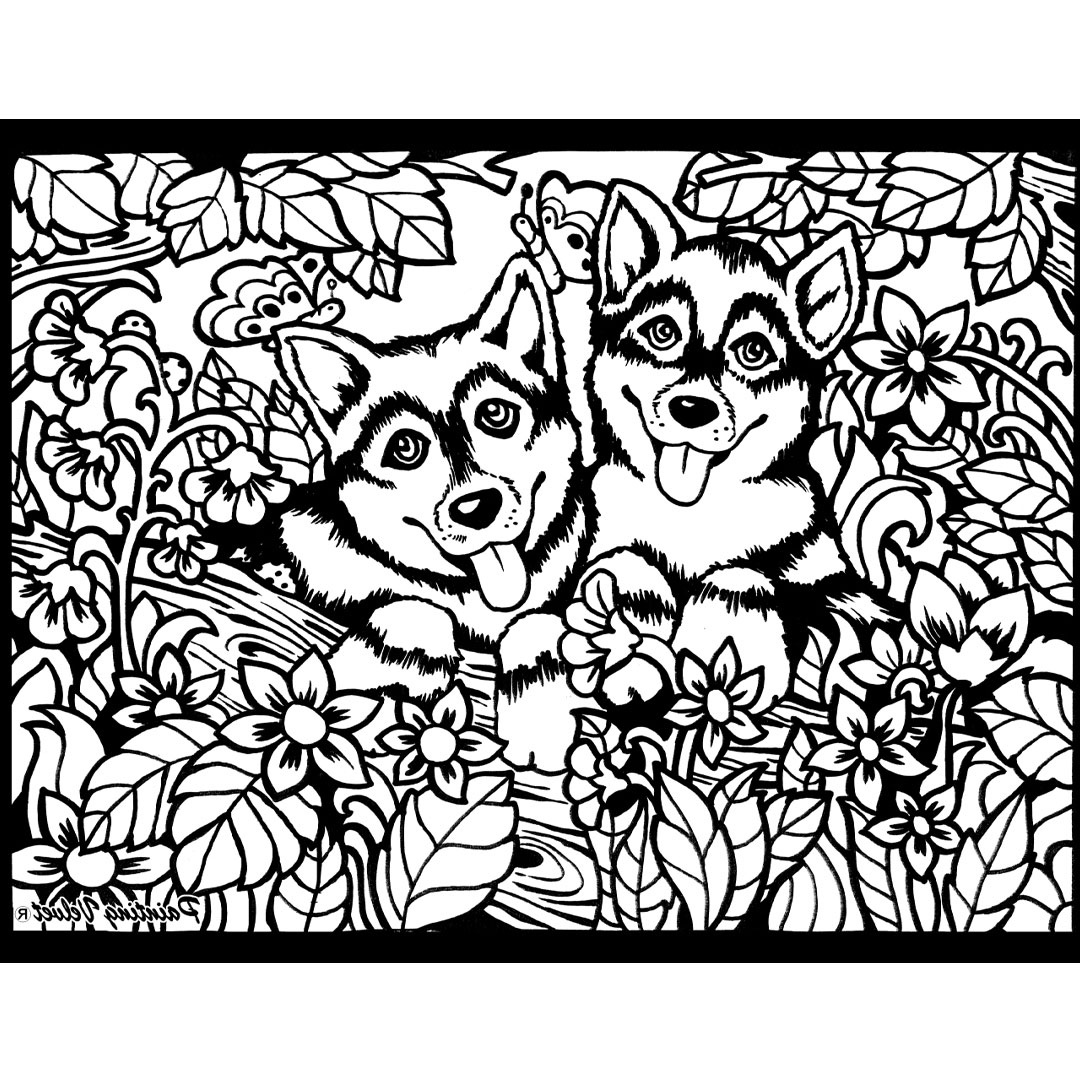 Картина за оцветяване 29,7х21 - Хъски - Image 2