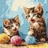 Рисуване по номера с акрилни бои върху платно на подрамка - 30 х 30 - Котета