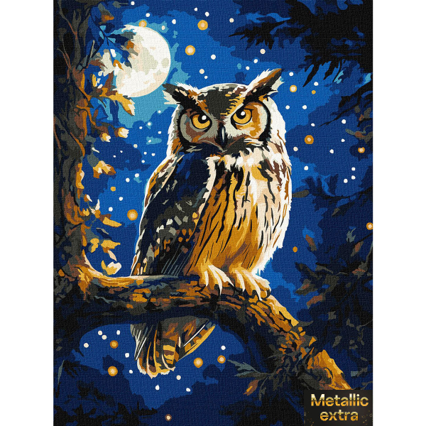 Pисуване по номера aкрилни бои металик върху платно на подрамка 30х40 см. - Нощен бухал