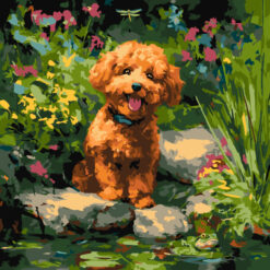 Пудел на езерото